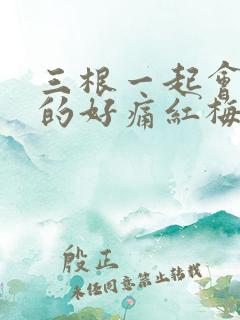 三根一起会坏掉的好痛红梅