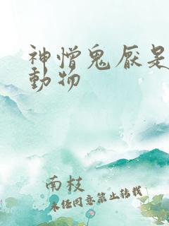 神憎鬼厌是什么动物