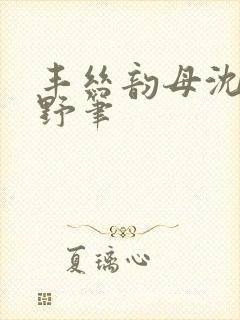 丰丝韵母沈蓉书野笔