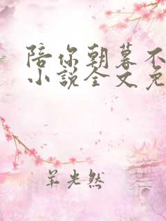 陪你朝暮不相思小说全文免费阅读