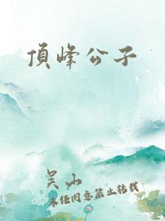 顶峰公子