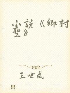 小说《乡村小医圣》