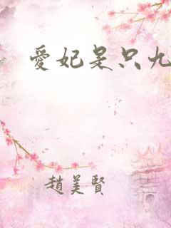 爱妃是只九尾猫