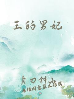 王的男妃