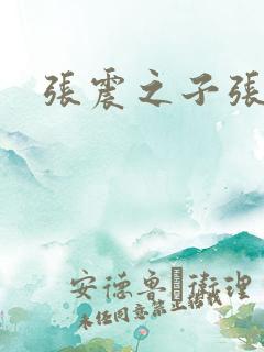 张震之子张阳