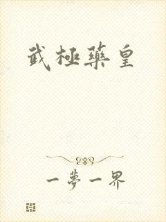 武极药皇