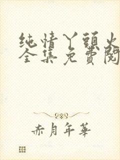 纯情丫头火辣辣全集免费阅读的