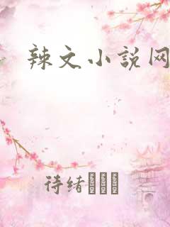 辣文小说网