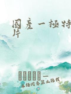 国产一极特黄大片