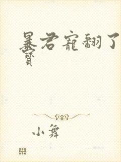 暴君宠翻了小娇宝