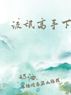 流氓高手下载