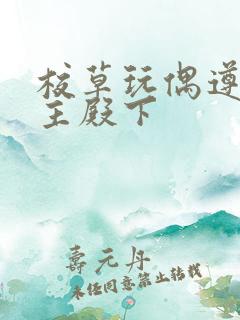 校草玩偶遵命公主殿下