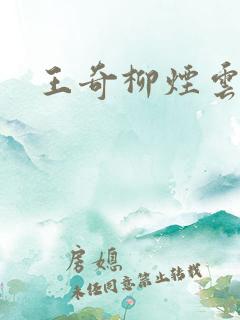 王奇柳烟云