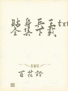贴身兵王txt全集下载