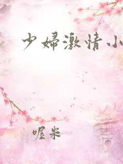 少妇激情小说网