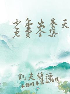 少年出拳天下惊免费全集