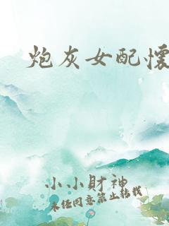 炮灰女配怀孕了
