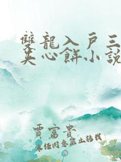 双龙入户三人行夹心饼小说
