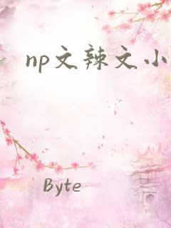np文辣文小说