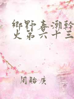 乡野春潮干柴烈火第六十三章