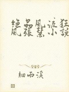 绝品风流狂医林风张慧小说正版