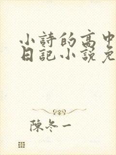 小诗的高中成长日记小说免费阅读