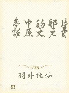 梦中的那片海小说原文免费阅读