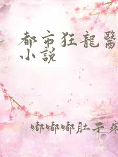 都市狂龙医仙+小说