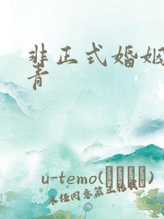 非正式婚姻雾里青