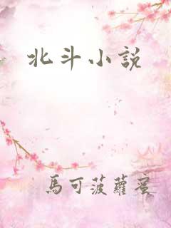 北斗小说