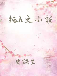 纯h文小说