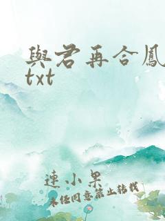 与君再合凤求凰txt