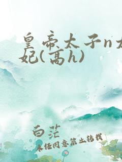 皇帝太子n太子妃(高h)