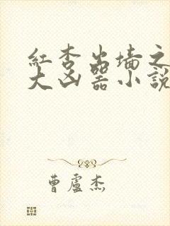 红杏出墙之乡村大凶器小说