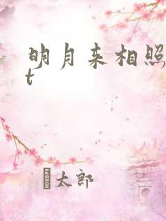 明月来相照txt