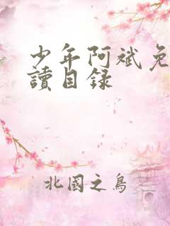 少年阿斌免费阅读目录