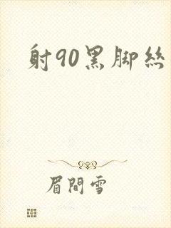射90黑脚丝女