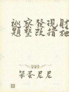 巡察发现财务问题整改措施