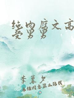 纯肉腐文高H总受男男