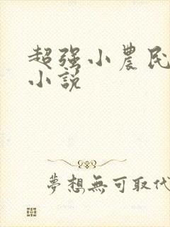 超强小农民有声小说