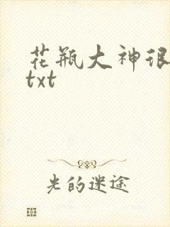 花瓶大神很菜鸟txt