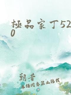 极品家丁5200