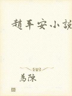 赵平安小说主角