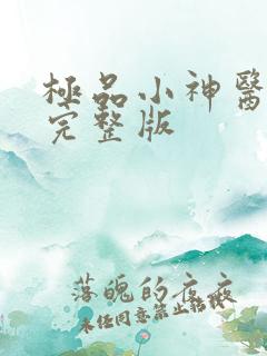 极品小神医小说完整版