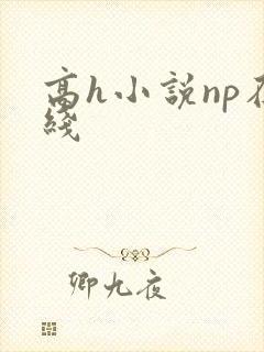 高h小说np在线