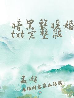 暗黑系暖婚小说txt完整版