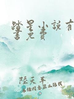 踏星小说有声听书免费