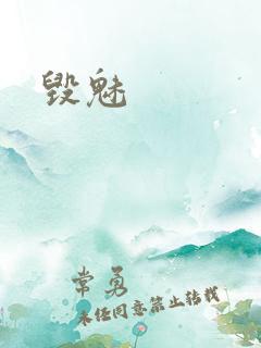毁魅