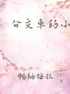 公交车的小说