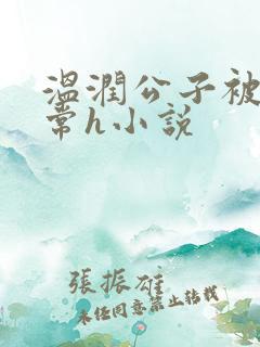 温润公子被脔日常h小说